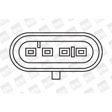 BorgWarner (BERU) | Zündspule | ZS325