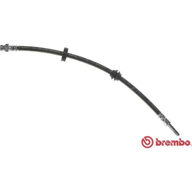 Brembo | Bremsschlauch | T 24 117