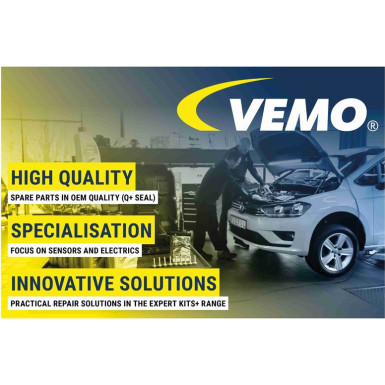 Vemo | AGR-Ventil | V10-63-0002