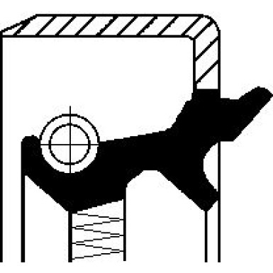 Corteco | Wellendichtring, Differential | 19017586B