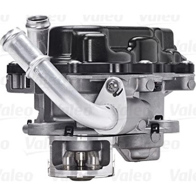 Valeo | AGR-Ventil | 700454