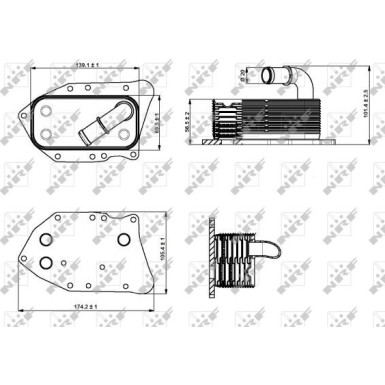 NRF | Ölkühler, Motoröl | 31340