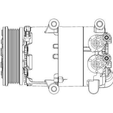 Mahle | Kompressor, Klimaanlage | ACP 310 000P