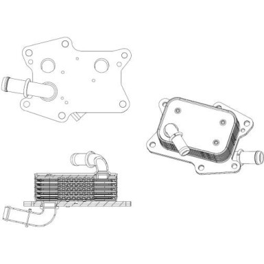 NRF | Ölkühler, Motoröl | 31830