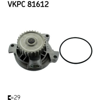 SKF | Wasserpumpe | VKPC 81612