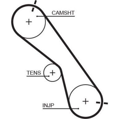 Gates | Zahnriemen | 5560XS