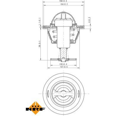 NRF | Thermostat, Kühlmittel | 725083