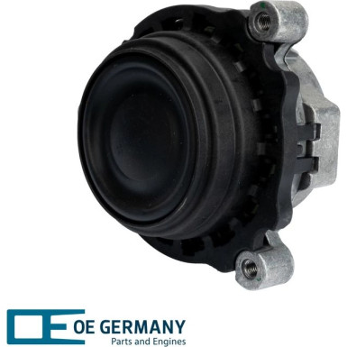 OE Germany | Lagerung, Motor | 800994