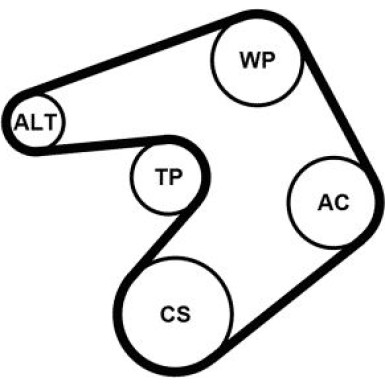 ContiTech | Keilrippenriemensatz | 6PK1205K1