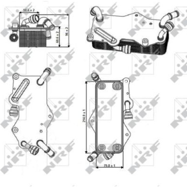 NRF | Ölkühler, Automatikgetriebe | 31269