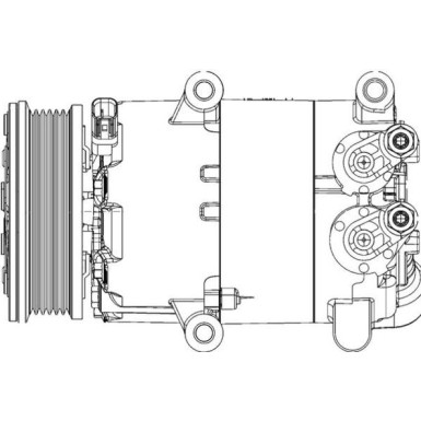 Mahle | Kompressor, Klimaanlage | ACP 1366 000P