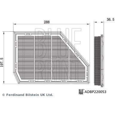 Blue Print | Luftfilter | ADBP220053