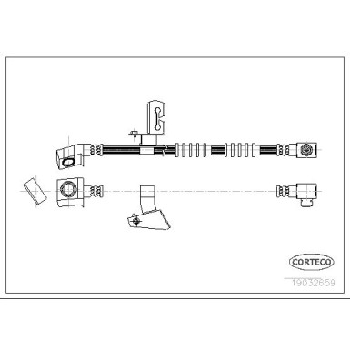 Corteco | Bremsschlauch | 19032659