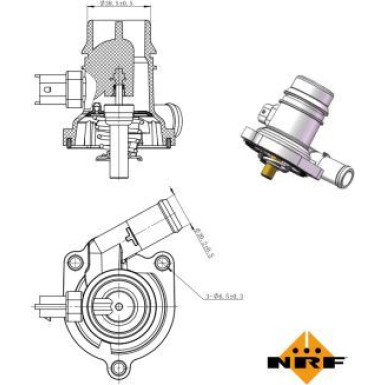 NRF | Thermostat, Kühlmittel | 725025