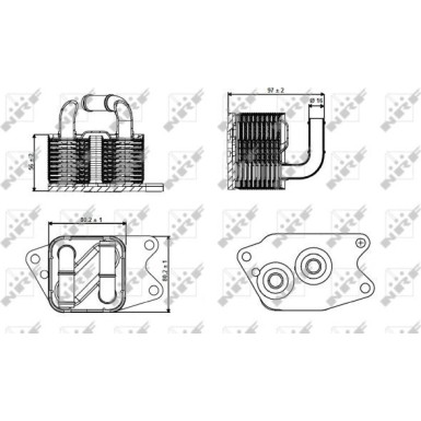 NRF | Ölkühler, Automatikgetriebe | 31265