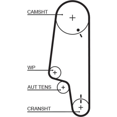 Gates | Zahnriemen | 5428XS