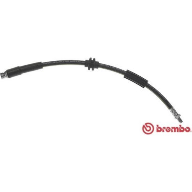 Brembo | Bremsschlauch | T 24 116