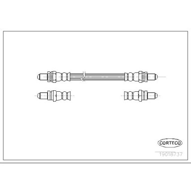 Corteco | Bremsschlauch | 19018737