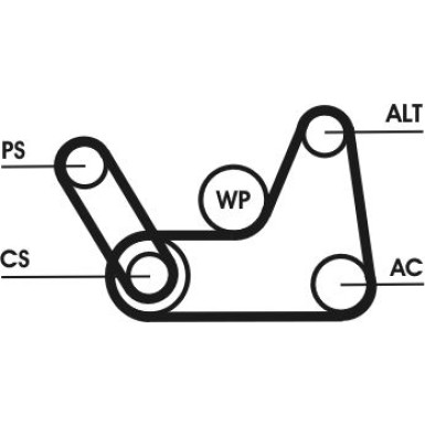 ContiTech | Keilrippenriemensatz | 6PK1019 ELAST T1