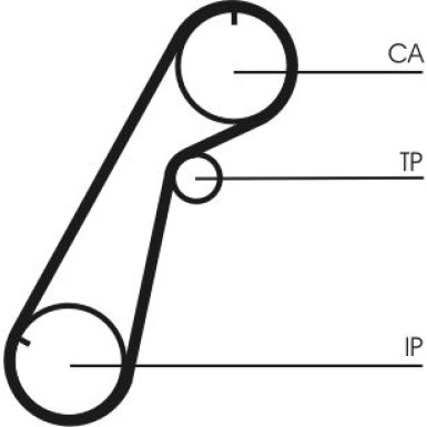 ContiTech | Zahnriemen | CT1020