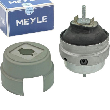 Meyle | Lagerung, Motor | 100 199 0180