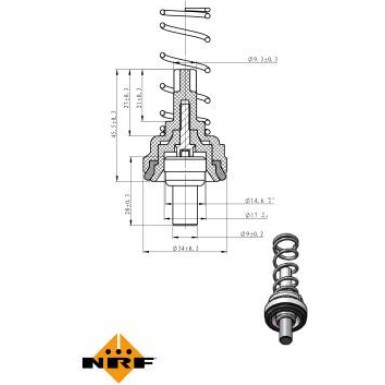 NRF | Thermostat, Kühlmittel | 725203