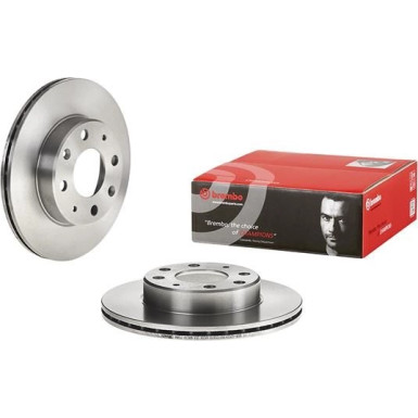 Brembo | Bremsscheibe | 09.3102.10