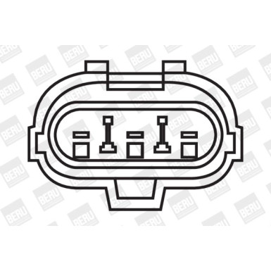 BorgWarner (BERU) | Zündspule | ZS264