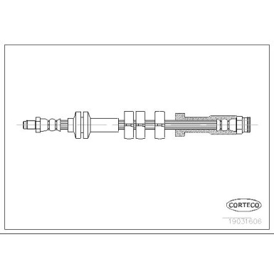 Corteco | Bremsschlauch | 19031606