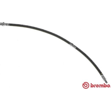 Brembo | Bremsschlauch | T 06 037