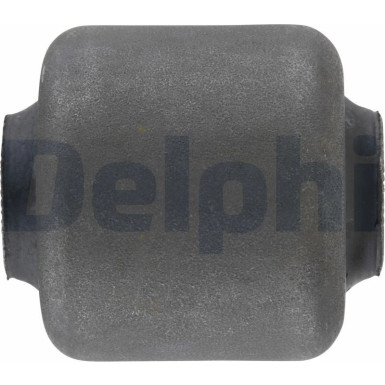 Delphi | Lagerung, Lenker | TD483W