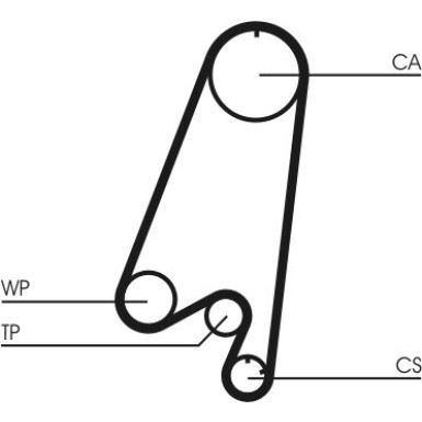 ContiTech | Zahnriemen | CT910