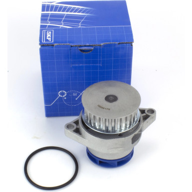 SKF | Wasserpumpe | VKPC 81419