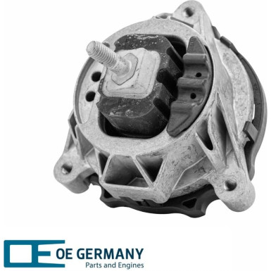 OE Germany | Lagerung, Motor | 800992