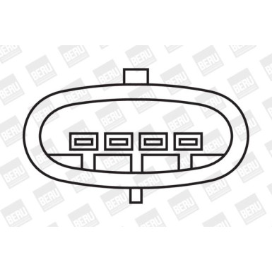 BorgWarner (BERU) | Zündspule | ZS371