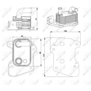 NRF | Ölkühler, Motoröl | 31753