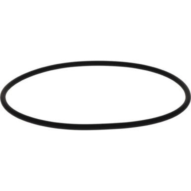 BOSCH | Dichtring | 2 410 210 050 BOSCH | Dichtring | 2 410 210 050