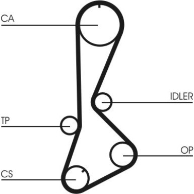 ContiTech | Zahnriemen | CT828