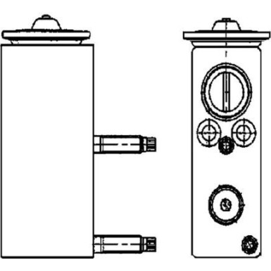 Mahle | Expansionsventil, Klimaanlage | AVE 70 000P