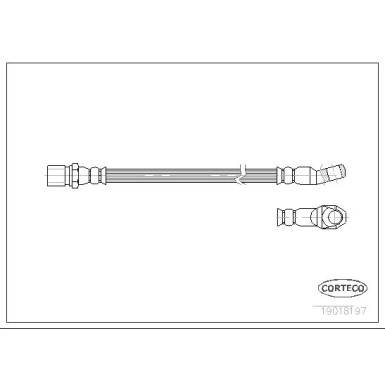 Corteco | Bremsschlauch | 19018197