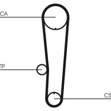 ContiTech | Zahnriemen | CT1017