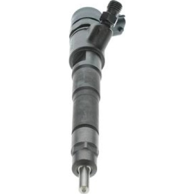 BOSCH 0 445 110 248 Einspritzdüse