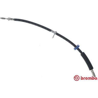 Brembo | Bremsschlauch | T 61 112