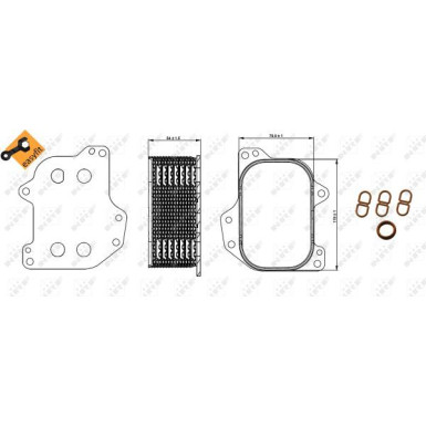 NRF | Ölkühler, Motoröl | 31267