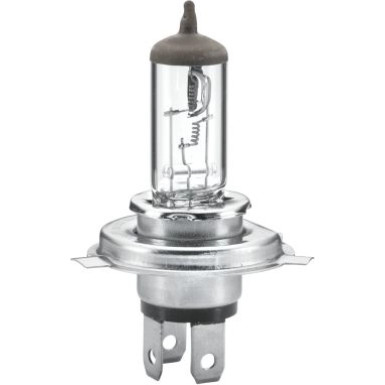 Hella | Glühlampe | 8GJ 002 525-511