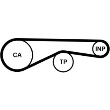 ContiTech | Zahnriemen | CT1095
