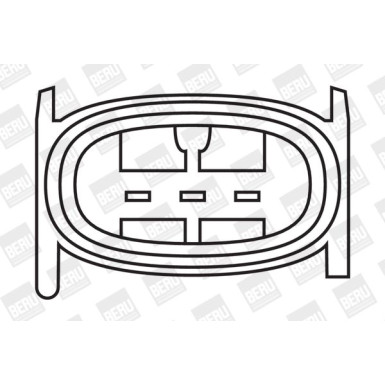 BorgWarner (BERU) | Zündspule | ZS281