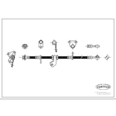 Corteco | Bremsschlauch | 19032901