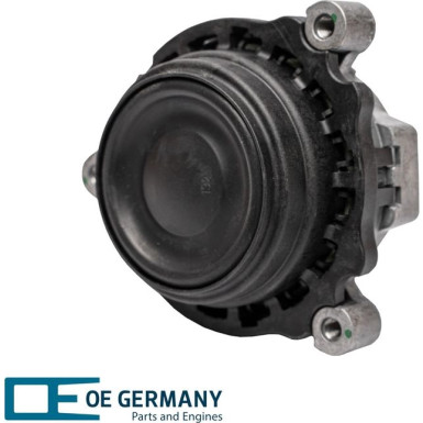 OE Germany | Lagerung, Motor | 800993