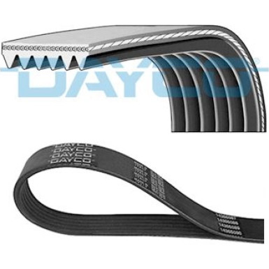 Dayco | Keilrippenriemen | 6PK975 Dayco | Keilrippenriemen | 6PK975